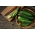 Ogórek Saladin F1 - szklarniowy i pod osłony, owoce do 35 cm - 32 nasiona