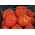 Pomidor Or Pera d'Abruzzo - gruntowy, gruszkowy, duży, mięsisty