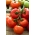 Pomidor Babinicz - gruntowy, samokończący, wcześnie owocujący