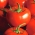 Pomidor Ondraszek - gruntowy, na przetwory i do bezpośredniego spożycia