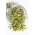 Nasiona na kiełki - Rzodkiewka - 250 gram - 21250 nasion