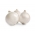 Cebula Alibaba - biała, łagodna, dobra do przechowywania - 750 nasion
