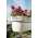 Skrzynka balkonowa z koronkowym wykończeniem, ażurowa Rosa - 50 cm - kremowy