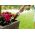 Łopatka ogrodnicza - PASTEL - pastelowa beżowa - CELLFAST