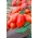 Pomidor Big Mama F1 - szklarniowy, wysoki