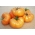 Pomidor Orange Wellington - szklarniowy, pomarańczowy