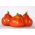 Pomidor Corazon F1 - w typie Bawole serce - gruntowy i pod osłony, wysoki