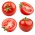 Pomidor Batory F1 - gruntowy, karłowy