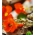 Kwiaty Jadalne - Nasturcja Tom Thumb - mieszanka kolorów