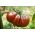 Pomidor gruntowy wysoki Black Prince - soczysty, słodki i aromatyczny, polecany do bezpośredniego spożycia