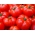 Pomidor gruntowy karłowy Jutrosz - wczesny, bardzo plenny, doskonały na soki