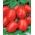 Pomidor gruntowy karłowy Awizo - wczesny, bardzo plenny, najbardziej odporny na zarazę ziemniaka
