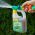 SprayGreen - nawóz dolistny do tui, żywotników w formie konewki - gotowy do użycia - Zielony Dom - 950 ml