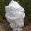 Agrowłóknina biała zimowa - 1,60 x 5,00 m - Megran