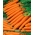 Marchew Drako, typ karotka - średniowczesna, intensywnie pomarańczowa z dużą zawartością karotenu - 4250 nasion