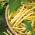 Fasola Berggold - szparagowa karłowa żółta - 200 nasion