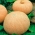 Dynia olbrzymia melonowa żółta - 12 nasiona