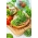 Microgreens - Brokuł - młode listki o unikalnym smaku - 1500 nasion