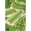 Fasola Finezja - szparagowa, zielona, bardzo odporna na choroby