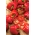 Papryka Trapez - czerwona o dużych owocach
