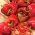 Papryka Trapez - czerwona o dużych owocach