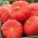 Dynia olbrzymia Rouge vif d'Etampes - duże, spłaszczone, żebrowane owoce - 9 nasion