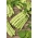 Fasola Mistica - szparagowa, zielonostrąkowa, tyczna
