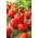 Pomidor Apis - gruntowy, o okrągłych, twardych owocach - 66 nasion
