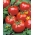 Pomidor Remiz F1 - szklarniowy i pod osłony