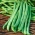 Fasola szparagowa Malwina - zielone strąki