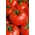 Pomidor Płomień - gruntowy, średnio wczesny o silnym wzroście