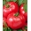 Pomidor Faworyt - gruntowy malinowy - owoce do 0,5 kg - 10 gram