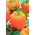 Papryka Etiuda - słodka pomarańczowa - 10 gram - 1500 nasion