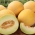 Melon Masada - jedna z najsmaczniejszych odmian na rynku - 10 nasion