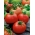 BIO Pomidor gruntowy - ACE 55 VF - Certyfikowane nasiona ekologiczne