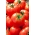 Pomidor Jawor - gruntowy, wczesny, smaczny i delikatny