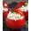 Pomidor Tukan F1 - szklarniowy - większe opakowanie