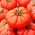 Pomidor Monterosa F1 - malinowy, pod osłony, dla wymagających