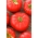 Pomidor Runner F1 - ciemnoczerwony, pod osłony, dla wymagających