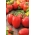 Pomidor Kmicic - najlepszy na przetwory - 10 gram