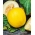 Melon Yellow Canary 2 - wczesny, żółty, owalny, bardzo słodki i aromatyczny