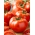 Pomidor Tolek - duże owoce, nadają się do obierania bez parzenia