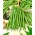 Fasola Delfina - szparagowa, zielona, do mrożenia i konserwowania - 250 gram