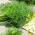 Nasiona ogórków i kopru - zestaw 4 odmian