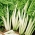 Burak liściowy Lukullus - zielony - 225 nasion