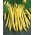 Fasola Maxidor - szparagowa, żółta, smaczna i bezwłóknista - 120 nasion