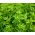 Majeranek ogrodowy - lebiodka majeranek - 3000 nasion
