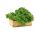 Jarmuż zielony Dwarf Green Curled - 300 nasion