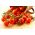 Pomidor czereśniowy Idyll - 80 nasion