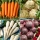 Nasiona warzyw korzeniowych - zestaw 4 odmian